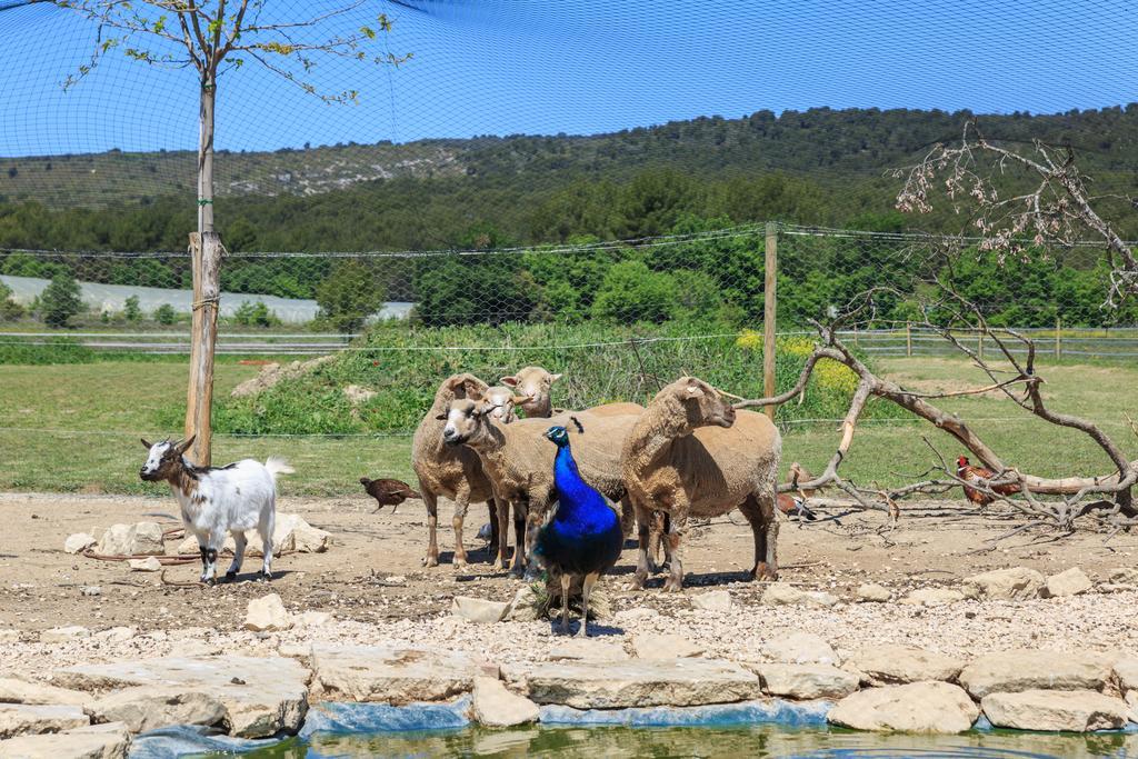 Villa Lou Mas Li Pitchoun "Le Luberon " Gordes Exterior foto